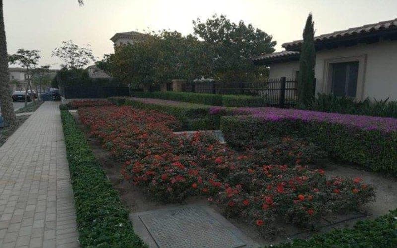 Up Town Cairo Golf Course thumbnail 8